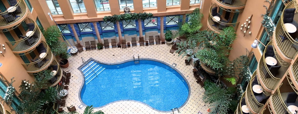 �J�i�_�E�P�x�b�N�u�z�e�� �p���X���C�����v���X�����̋��_�ɁI