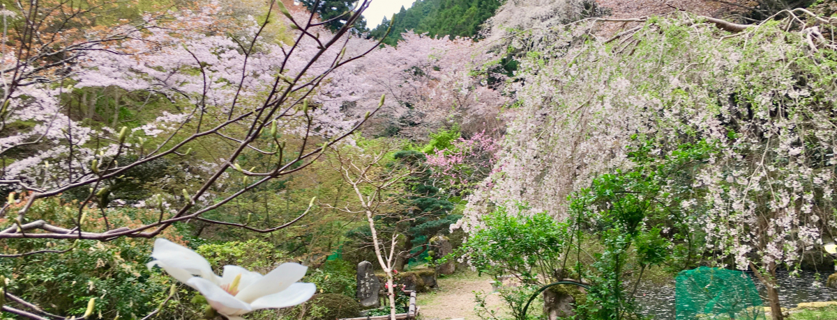 ޗǁEg̔铒ug쉷򌳓v͍̎߁I