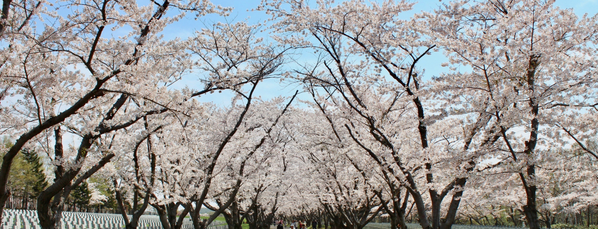 kCEDyߍxłԌȂ炱I~ƍ̂ԌTI