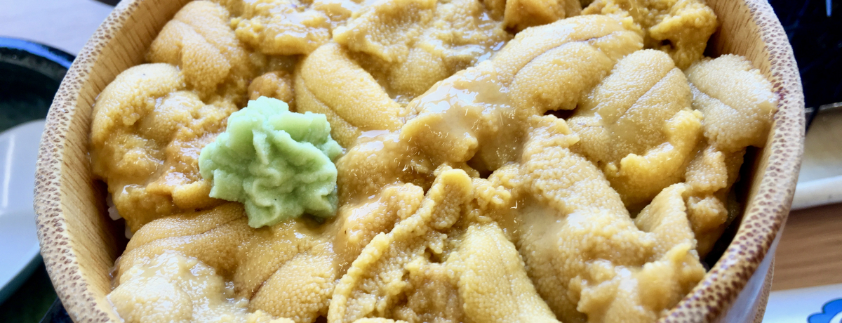 ϒOu؍Wi񂱂jvŐiEjIÂјC̎qOF