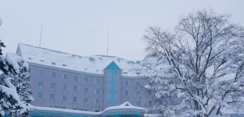 �����U��┒��������y�������I�k�C�����l���u�z�e���p�[�N�q���Y�v