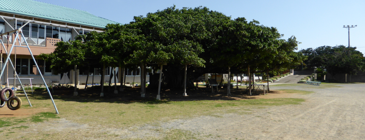 POONȏIu{̃KW}vɉɉiǕ֍sI