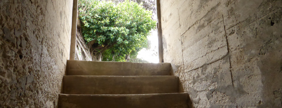 �푈�����p����Ձu�퓬�w�����v�����������E��E���ɖK�˂�