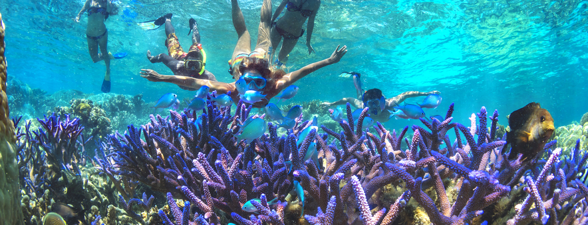 �ό��ǃX�^�b�t�ɕ����I�u���܃j���[�J���h�j�A�ɍs���ׂ��v�|�C���g5�I