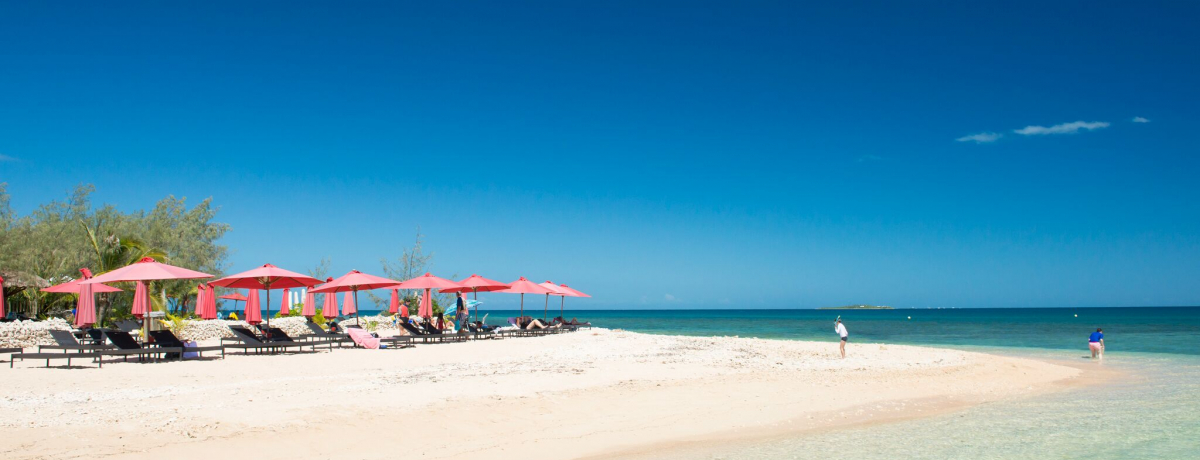 �r�[�`����O�����܂ŁI�g�V���ɂ����΂�߂����h�u�j���[�J���h�j�A�v�ŉ߂������z�̃��f���v����