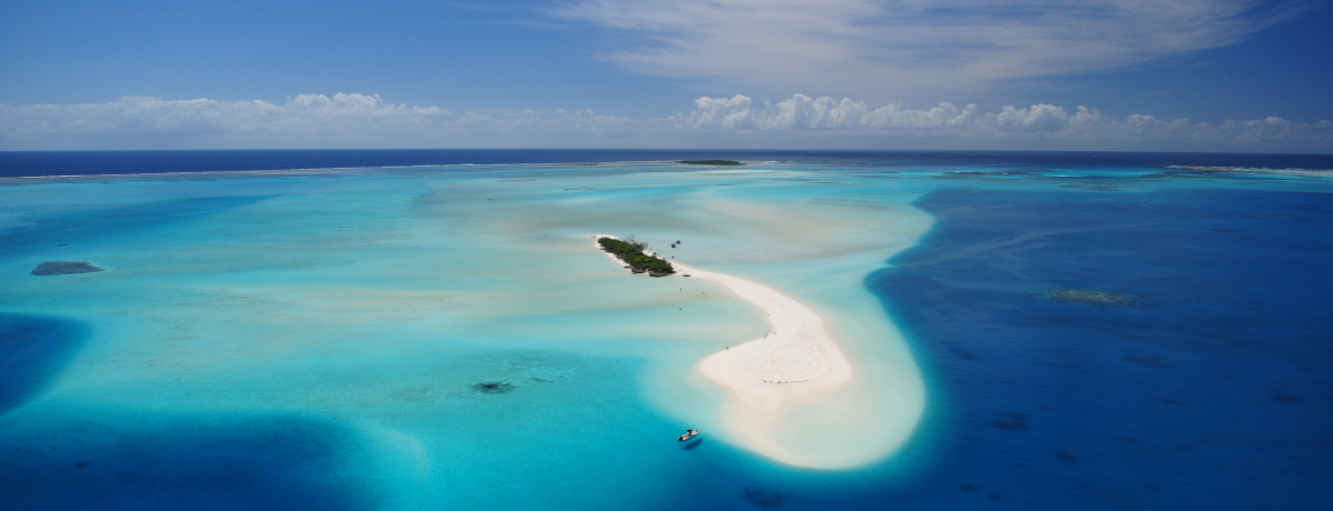 ����ł��Ȃ����j���[�J���h�j�A�̗��I���n�c�E�������߁u�V���݂����ȗ����v3�I