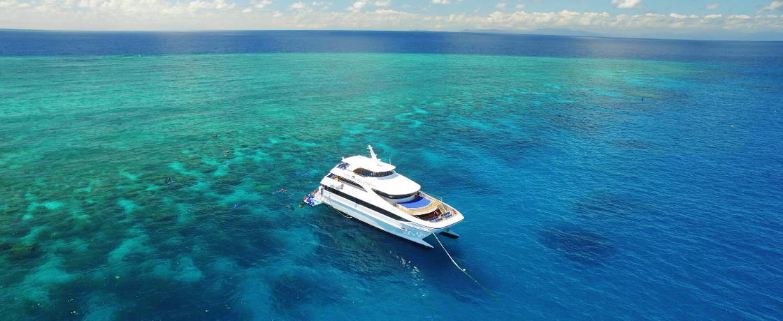 ���s�ւŏ�ĂցI�P�A���Y�������߂̃A�N�e�B�r�e�B5�I