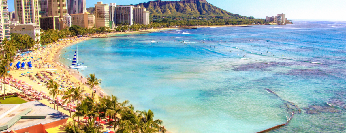 ֋󂩂nC܂Œsւ̂LCCƑqЂOrIǂ炪ŕ֗H