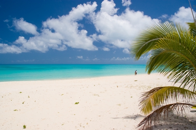 {j[JhjA܂ł̔sԂ`ƂɉI