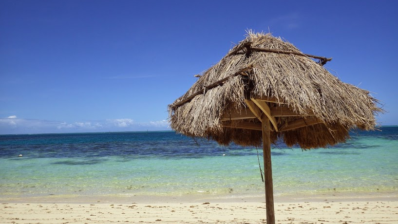 tBW[s̒sւ͂HoRւƍ`Oy߂IH