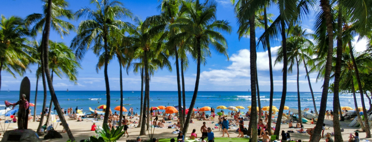 nCs̒sւ͂HLCCňs@`FbN