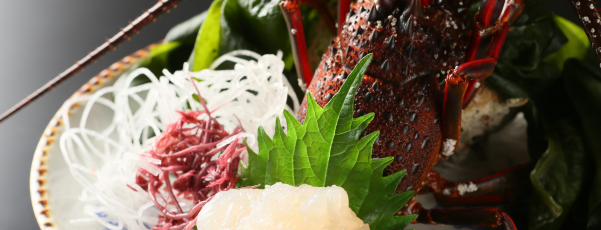 ΂́uĂȂvłɐtIYiOɈɐCVthv