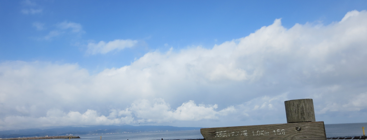 �x�R�p�z���̗��R�A�􂾂�����Ȃ��A��i�X�|�b�g�J���C�݁B