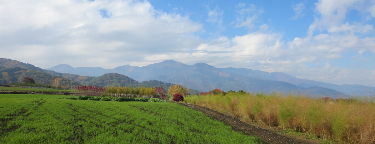 킸500mɋ7IMBR`̓򂻂ΏW