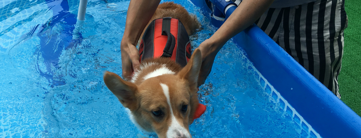 v[fr[Hɓủwv̓R̂߂̓̉wI