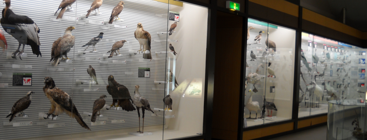 쒹̕ɁIt䑷qsÊقƂu̔فvŒ̃gRɂȂĂ݂悤!!