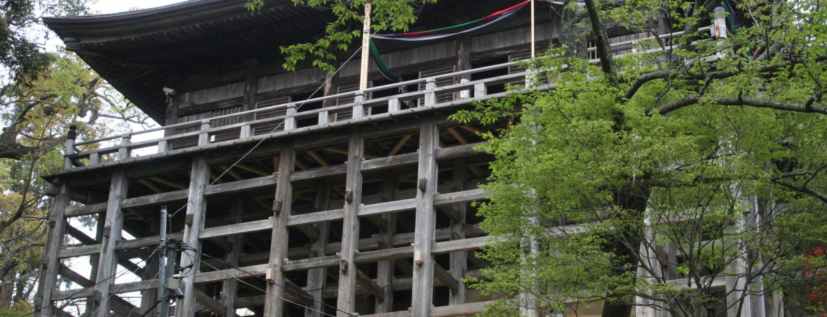 ���R�тɌ���鏄��̗��E��t �}�X�ω��ւ̗��B��N�O�̎���ɖ�����