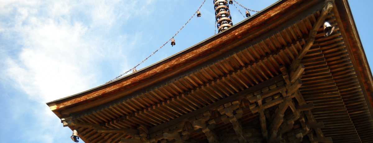 ォ500NɌI̗}@󓃂