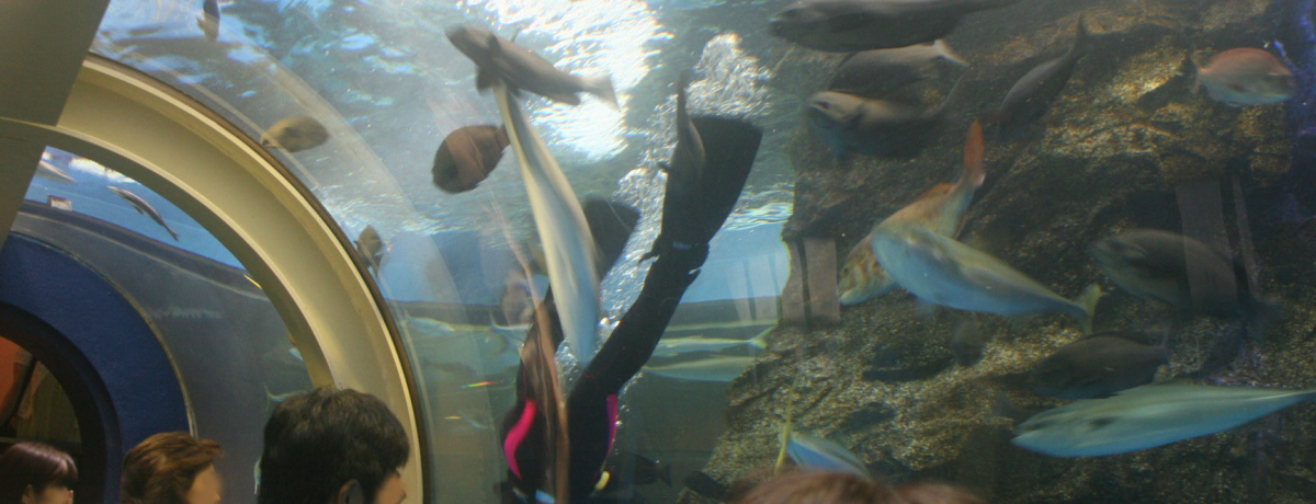 glŕxRpTK悤IxRuÐفv