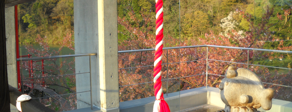 ���̃p���[�X�|�b�g�I�x�R�E�v�g�u����̋{�v�ŉ����ѐ��A��