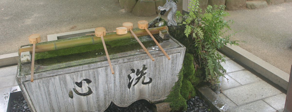 ql葱800NItsuA{v