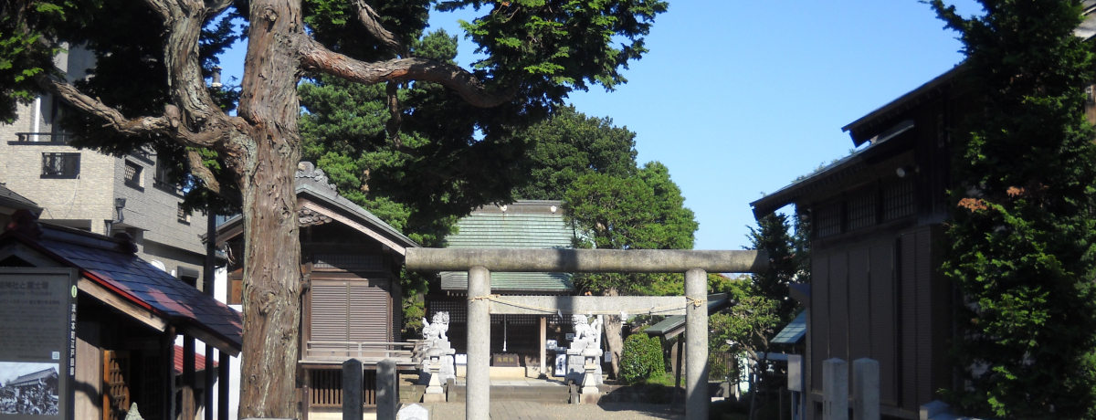 tERŁgxmoRh̊!?uRԐ_Ёv