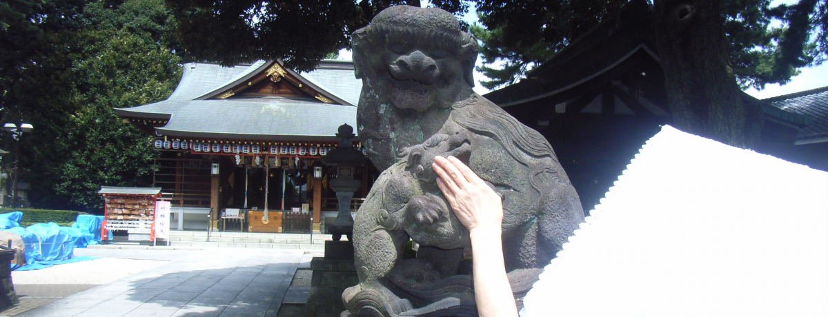 �g�q��č����h�𕏂ň��Y�F��I�����E������ܕX��_��