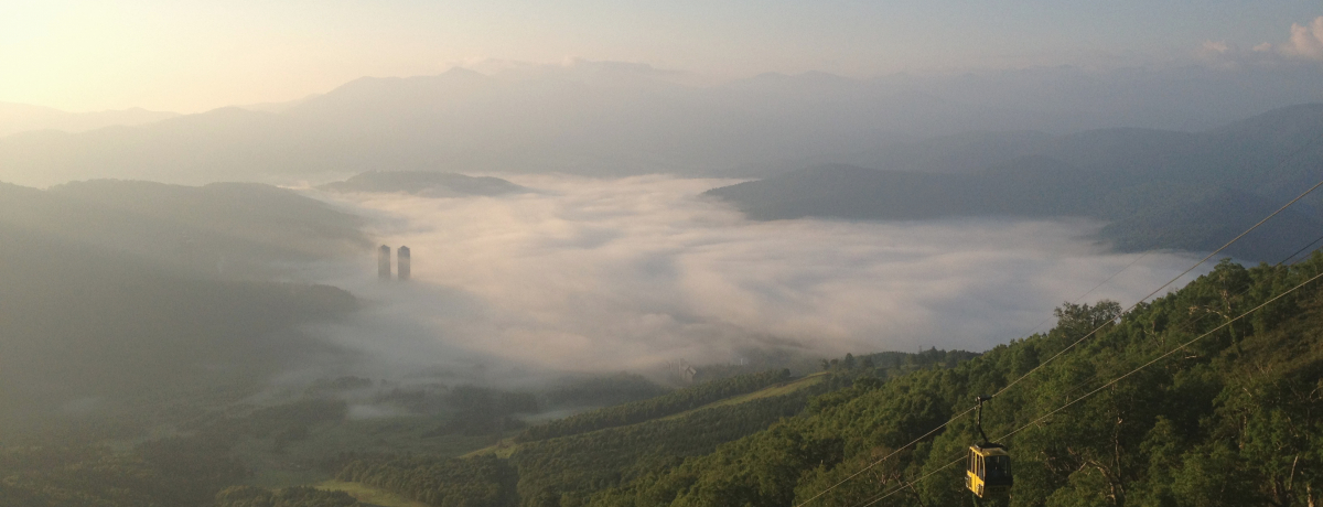 x͍s_CeXI샊][gg}łoJX