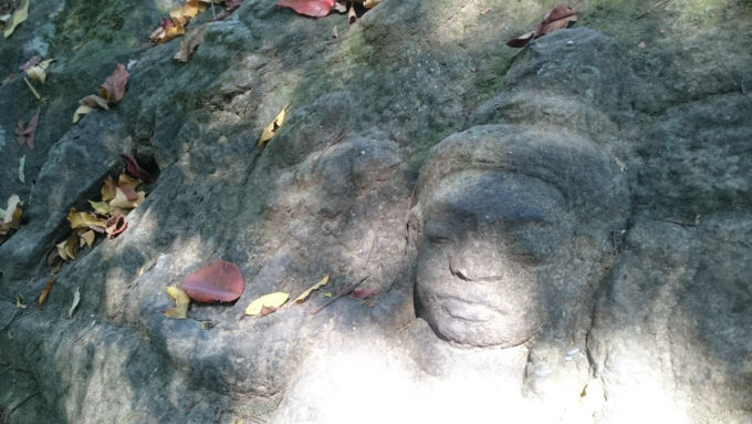 AR[bgɍsȂ炱INo[XsA͐EłAȐ