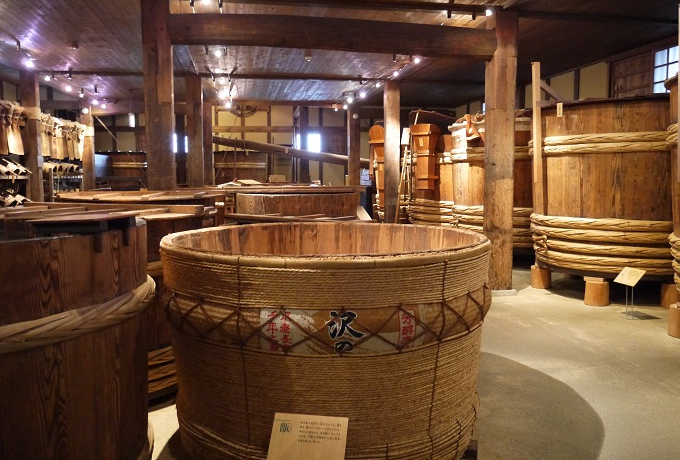 {̎ǂ땺Ɍ̓iȂj̎𑠂߂ŏ`ƂT