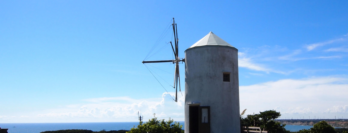 ���q�u�n���̊ۂ�������u�W�]��v�ŐS���ۂ��Ȃ闷