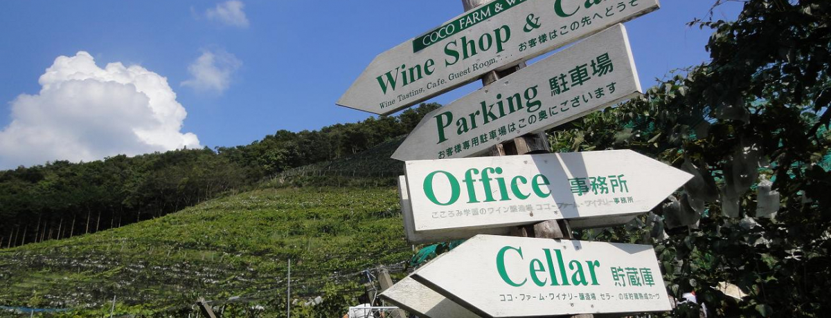 Ci[K˂闷 RREt@[ECi[(Ȗ،s)