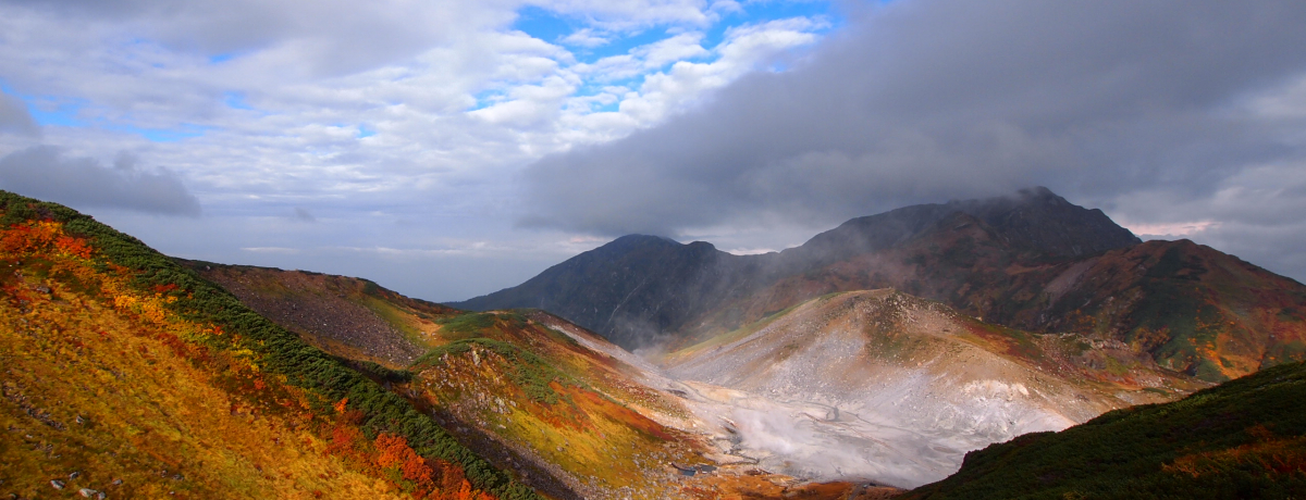 �g�t�O���ƒǂ������������悤�I�I���R�����A���y�����[�g�̍ŐV�H�ւ�