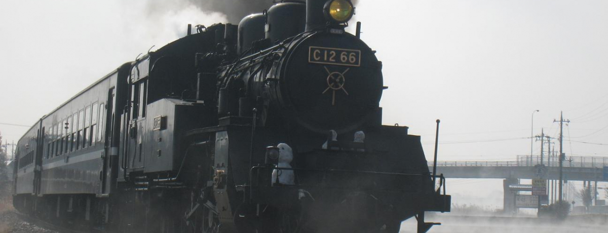 SL���������ɏ���ĉv�q�ւ��C�ɓ���̊��T����