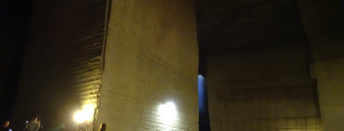 ���ϋC��8�x ���[�}�_�a�̂悤�ȋ���n����Ԃ֐����I�I�����Ő_��I�ȑ�J�΍̌@��Ձy�Ȗ،��F�s�{�s�z