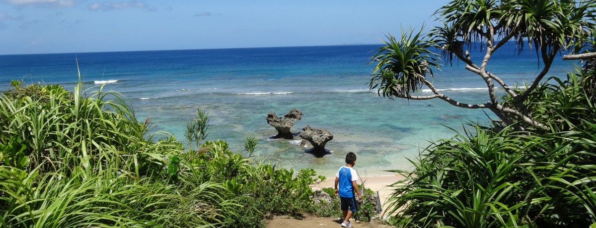 {ԂōsghƌĂ΂铇EÉF̃n[gbNɍsII