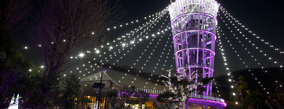 ֓OC~l[VOrIIut[p[NvuhCcvu]̓EÓ̕΁v