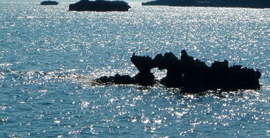 LOVE❤n[gX|bg܂Ƃ CMŘbn[gbNmꂴ錊܂