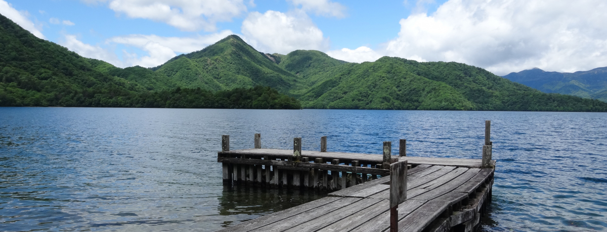 ����g���u���E��̕��i�v�ƈ��������T���΃C�^���A��g�ٕʑ��L�O����