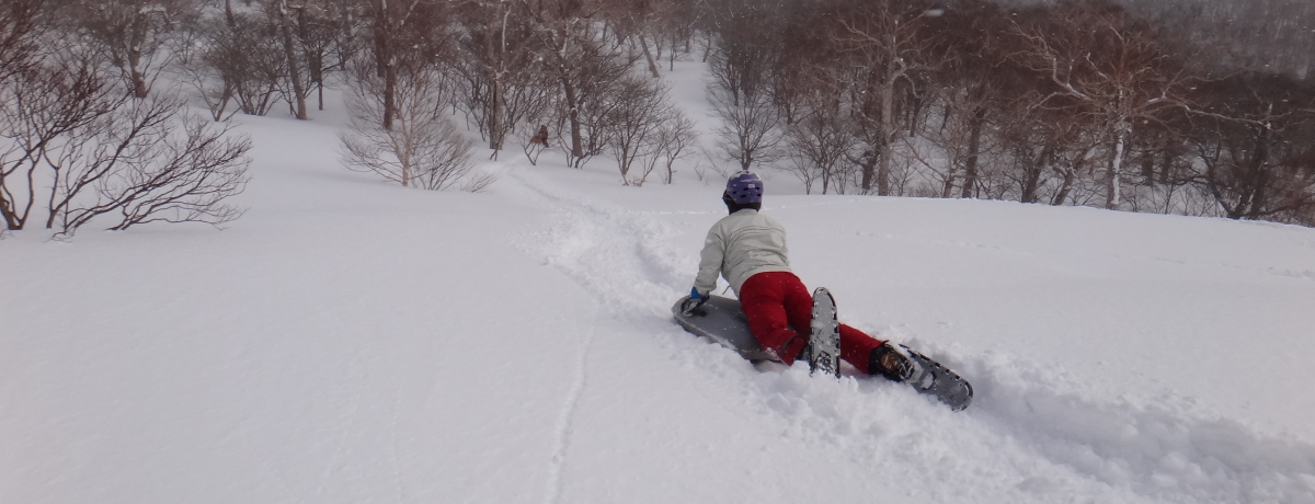 ��̓ߐ{��������!�I�W��1,400������G�A�[�{�[�h�ő劊��