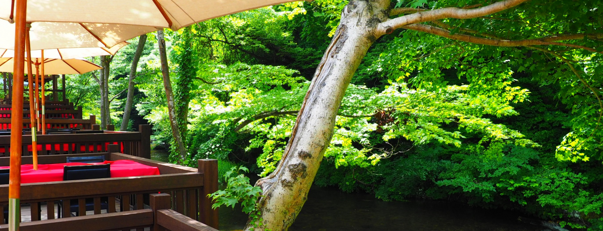 ߃邩Ԃ10!!앗Sn悢uR v̐쏰`