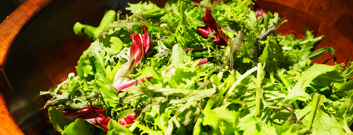 T_͓yÂ肩!!zej[I[^j́uVEŋ̒Hv