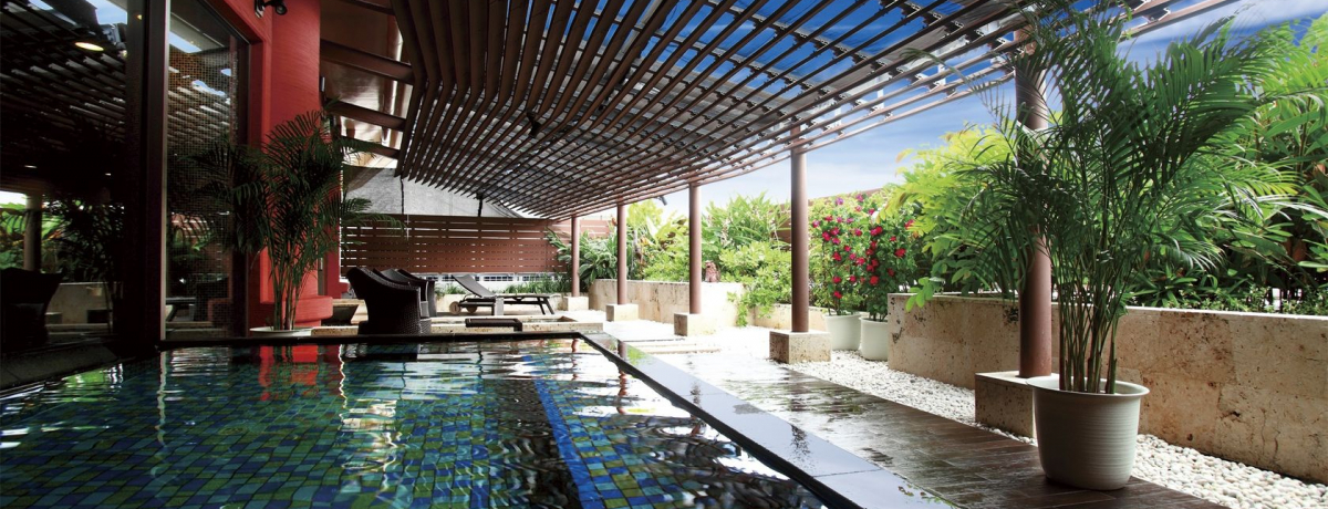 uW[ Xp^[ ߔevŔČb݂Ղ̗A[F[_