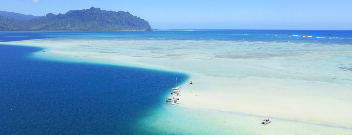 �u�V���̊C�v�̓n���C�ŕK�K�I�J�l�I�w��360�x�̐�i�T���h�o�[