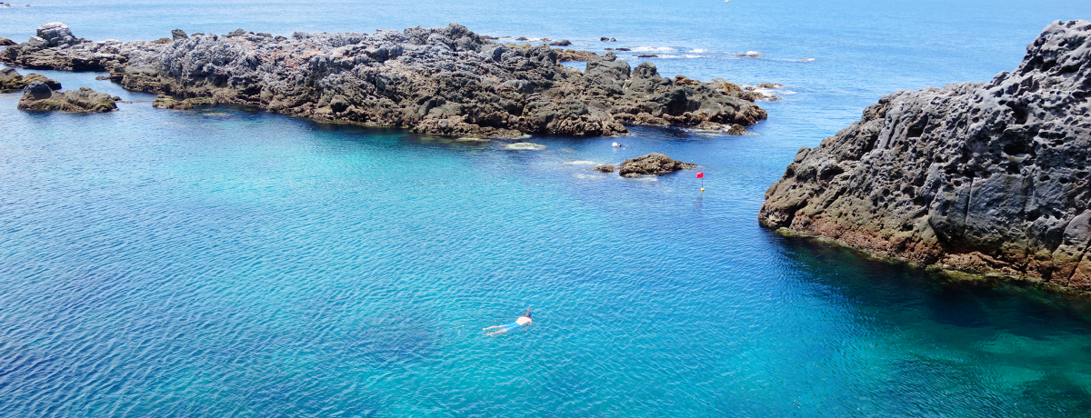 �_�Ó��u�ԍ�V�����v�̔���������C�ŗV�ڂ��I�܂�œV�R�̐�����