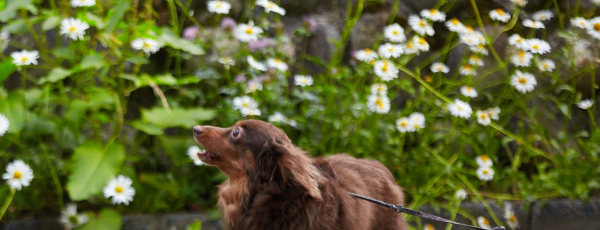 ƂƈꏏR[g[hEoCE}Ibg n