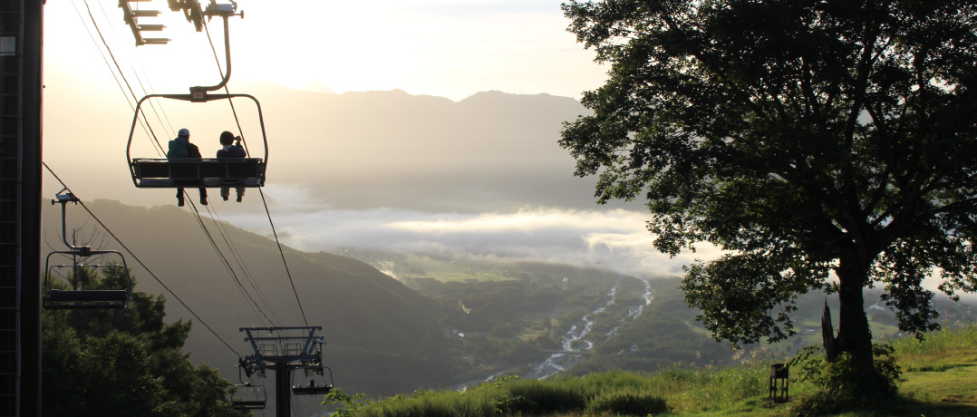 �W��1200���I���n�u�k���������v�g�񑩂̖؁h�̉��ō����s�N�j�b�N