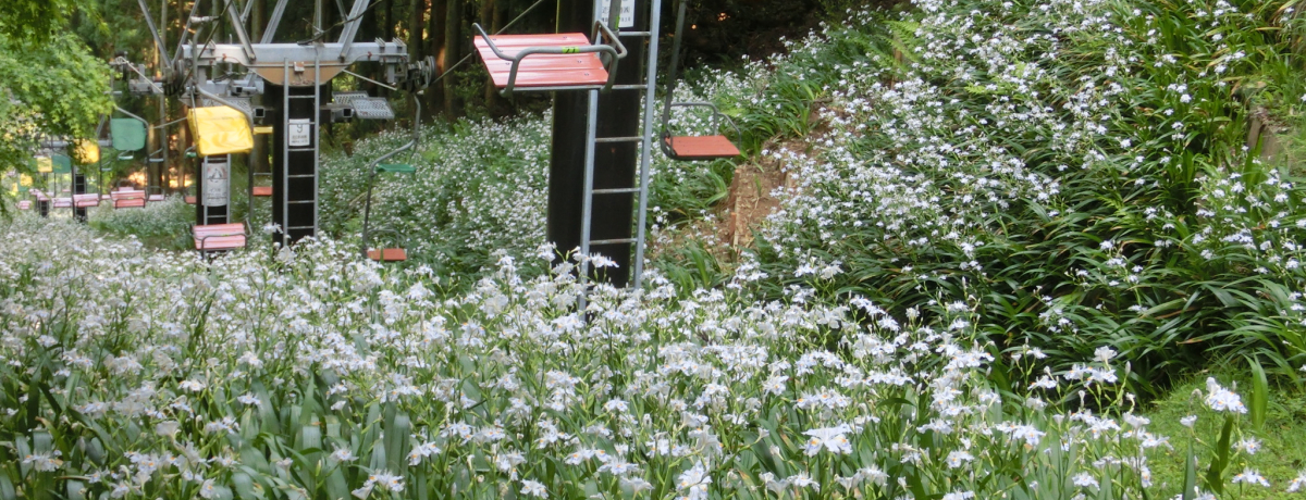 �V�������ڂ̒��l �˃��x�Ð��I�Ԃ��O�~��i�ރ��t�g�ɏ���čs�����I