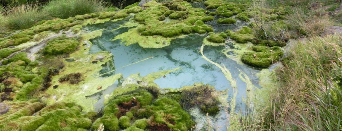 �S���g�̂��f�g�b�N�X!�����x�R�[�̔铒�u����z��v