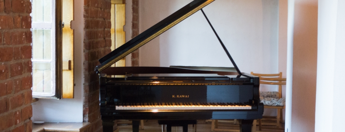 Vp̌̋V Q̑fGȃsAmRT[g